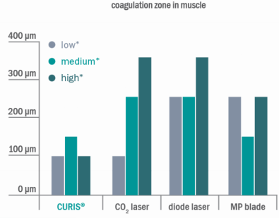 Fig-3b coagulation-zone-muscle