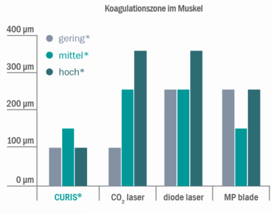 Fig-3b coagulation-zone-muscle DE