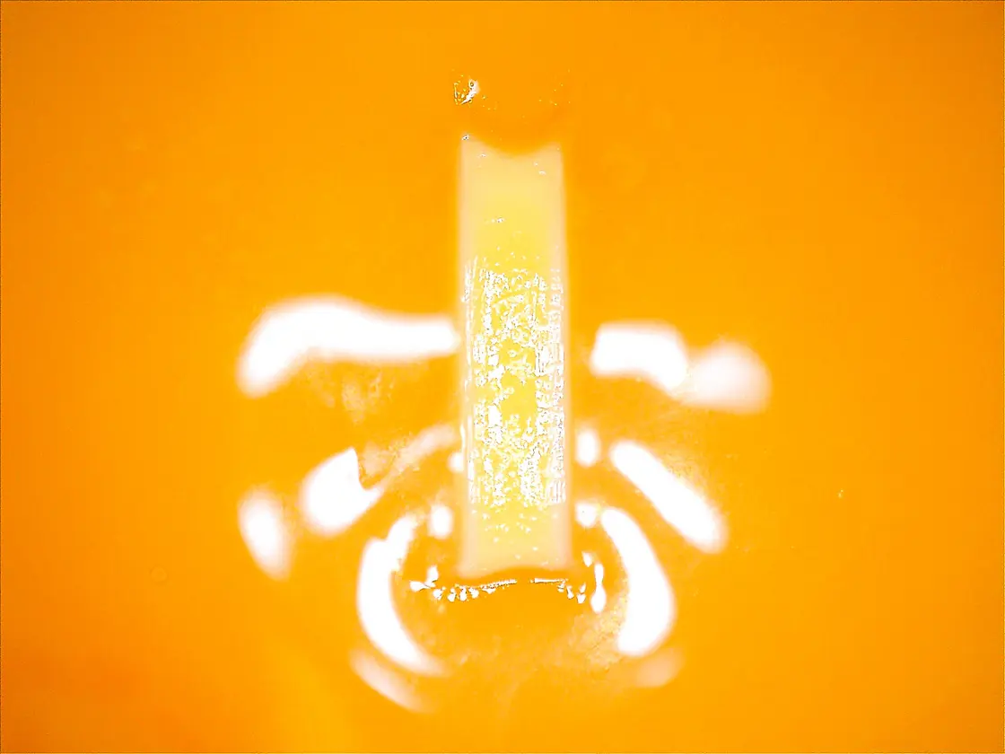 Visualisierung des thermischen Wirkfelds einer Radiofrequenzelektrode bei der Koagulation – mikroskopisches Bild zeigt punktgenaue Gewebeeinwirkung